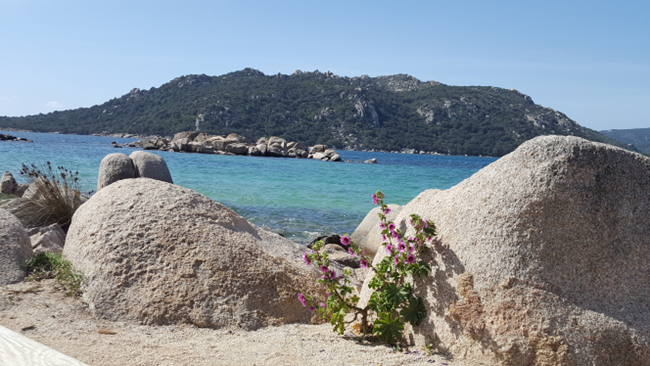 Portrait de Célia Delporte