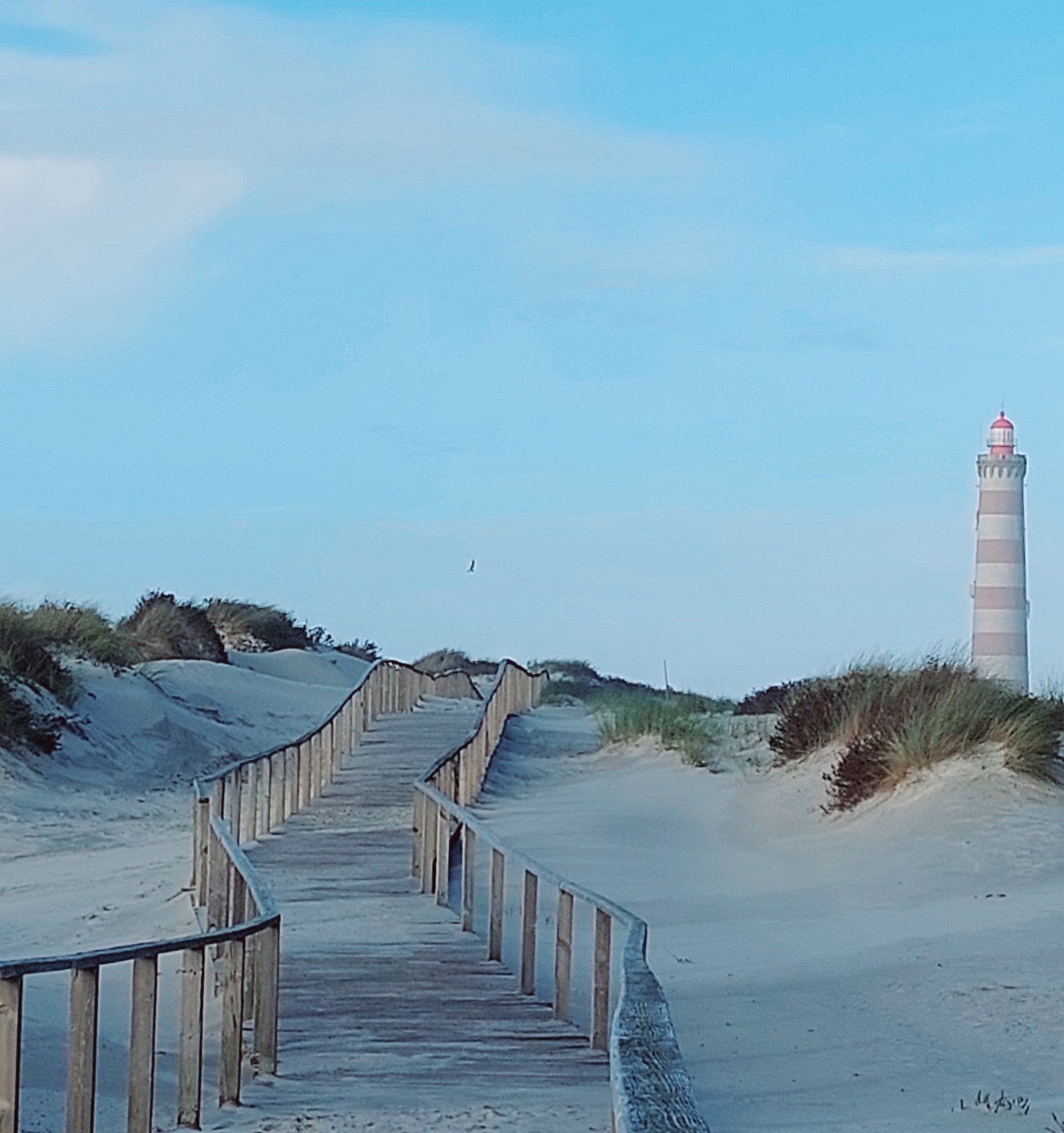 Hypnose Célia Delporte